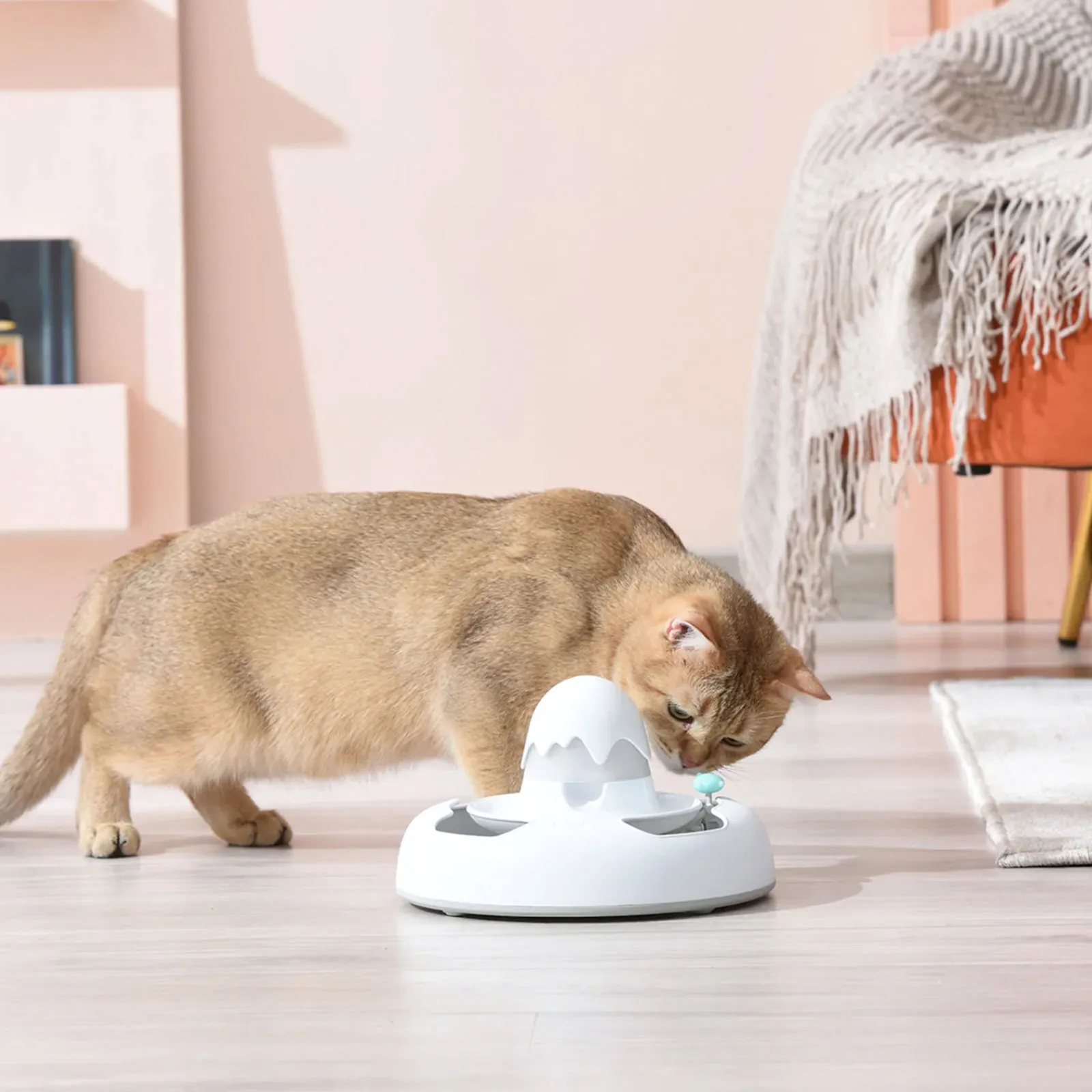 The Benefits of Interactive Cat Toys in Children and Pet