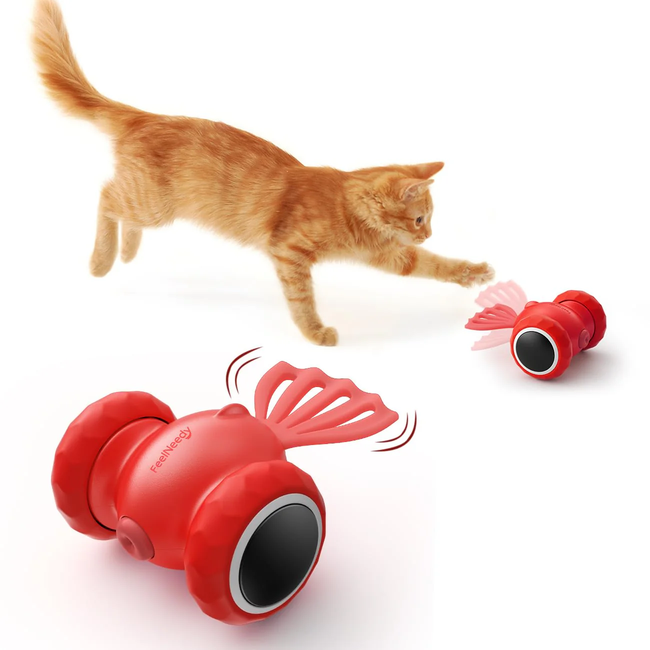 interactive  cat toy